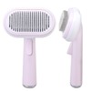5 in 1 Pet Slicker Brush One Button Hair Removal