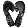 Ring to Cage Gym Training Stand-Up Boxing Gloves - USA.