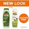 Palmer/Olive Oil Formula Smoothing/Shampoo & Conditioner/Deal