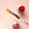PICCASSO 501 Premium Lip Brush - Concealer Compatible, Uniform Color,