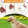 YDGAKN 2PCS Collar de Castigo para Perro,Collar de Entrenamiento para