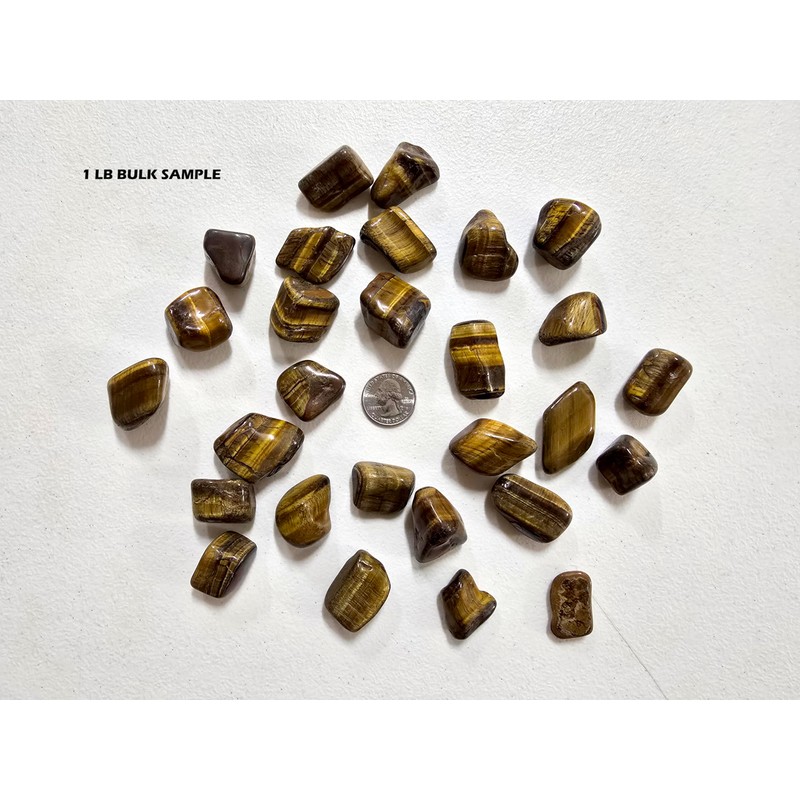 MINERALUNIVERSE Tumbled Tiger's Eye Crystals Bulk Natural Healing Crystals &