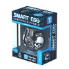 Smart Egg Skull: 3D Labyrinth Puzzle and Educational Toy for