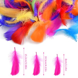 Pinsheng Pack of 300 Colourful Feathers, 10 Colours, Colourful Natural Feathers, Feather Craft for Crafts, Art Design, Dream Catcher, Headband, Jewellery, Wedding, Party, Festivals Decoration