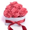 Rosemarie Schulz Heidelberg Infinity Rose Box in Heart Shape with