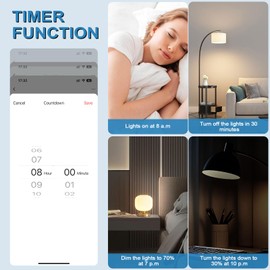 Aroidful Mini Smart Wireless LED Dimmer Switch, Smart Switch Remote Control with Alexa Echo and Google Home, App and Timer Control for Indoor Home Lighting, Living Room, Bedroom, AC 100-240V 50/Hz