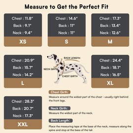 Queenmore Small Dog Pullover Sweater, Cold Weather Cable Knitwear, Classic Turtleneck Thick Warm Clothes for Chihuahua, Bulldog, Dachshund, Pug (Peacock Blue, Small)
