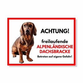 Alpenländische Dachsbracke Freilaufender Hund Dog Sign Saying Door Sign Dog Sign Warning Sign Gift Idea Safety Sign Dog Private Property Dog Warning Warning of the Dog