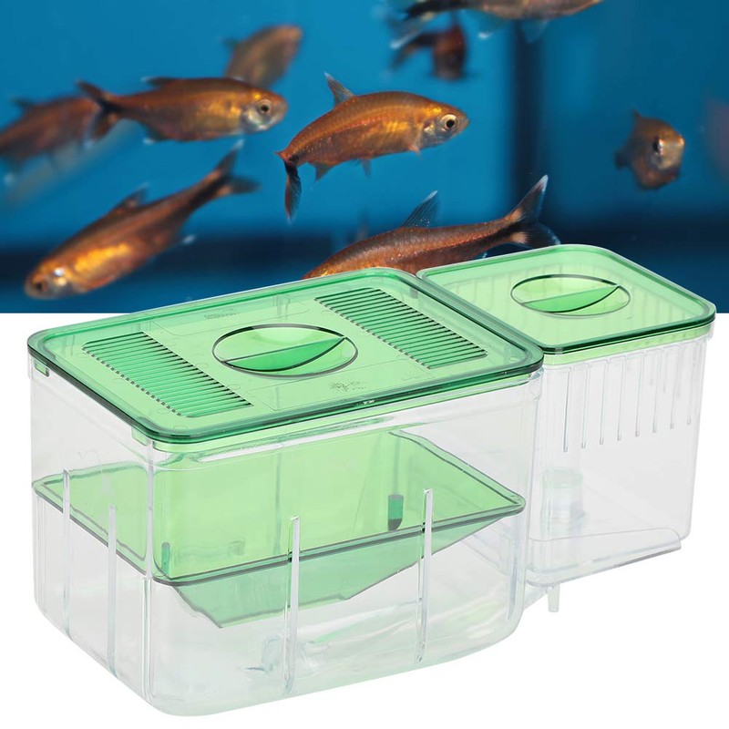 Atyhao Fish Breeding Box, Double Layer Insulation Box, Incubator for