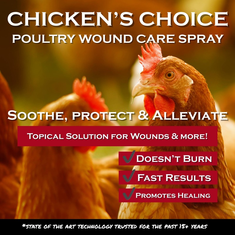 Chicken's Choice Wound Care for Chickens & Birds. Advanced Wound