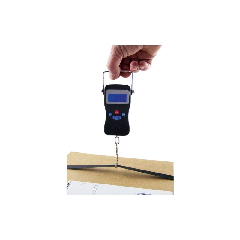 Berger + Schröter LCD 50 kg Electronic Hanging Scales