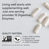 Sports Research Digestive Enzymes with Probiotics & Ginger - Plant