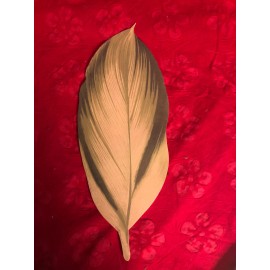 Large tropical leaves -- paper  about 9" long by 3" wide  SET OF THREE PIECES