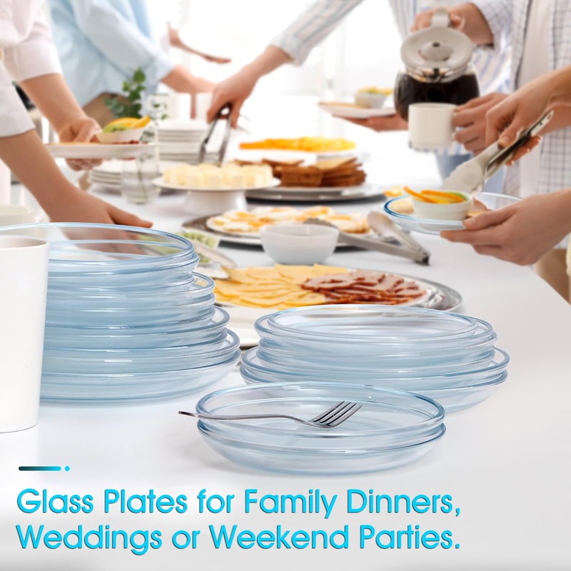 NUTRIUPS 2 Pack 9 inch Glass Plates - with Lipped