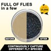 18 Pack Natural Fly Bait Refill, 18 * 30g Fly