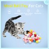 DODHEG 24 Pcs Colorful Pet Balls, Soft Plush Balls, Cat's
