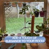 2-Pack 12 Inch Window Plant Shelves - Acrylic Suction Cup