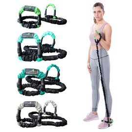 DartBand Premium Resistance Bands with Handles,Door Anchor,and Carabiner Clip for Athletic Training,Rehab,Strength Training,Yoga,Physical Therapy,Home Workout Solution-Medium Resistance,Aqua