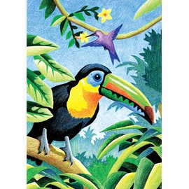 Darice Royal & Langnickel Mini Colour Pencil by# Kit: 5x7 Tropical Birds