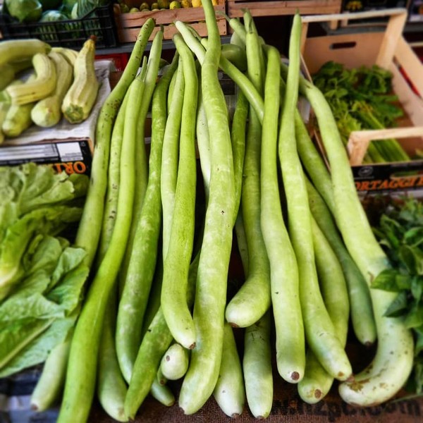 RAISE ME UP: Seeds Long Gourd Calabash Lagenaria Non GMO