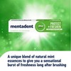 Mentadent Protect + Freshen Toothpaste 75ml, Family Protection, 10x Stronger