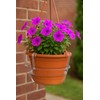 Curtis Wagner Plastics Hanging Basket Drip Pans (5-Pack) | Clear,