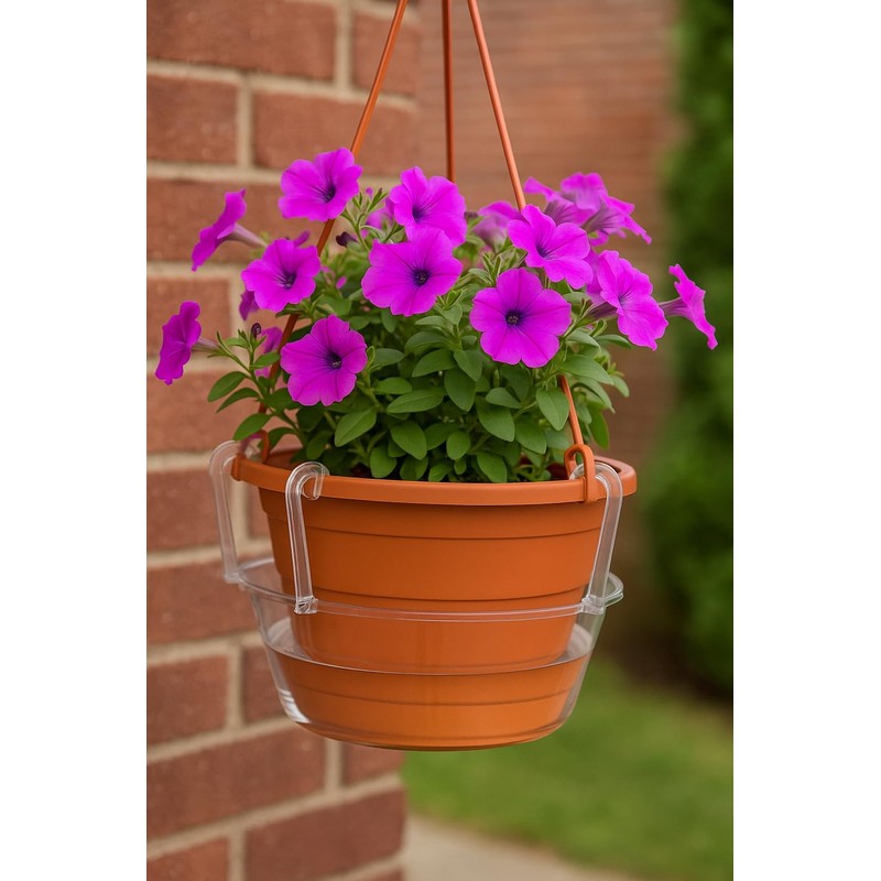 Curtis Wagner Plastics Hanging Basket Drip Pans (5-Pack) | Clear,