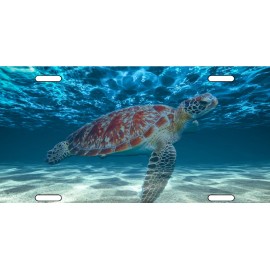 Signs and Novelties Sea Turtle License Plate Save The Turtles Crush