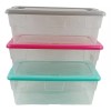 Boris Caja Organizadora De Plastico 34.7cm De Largo Almacenamiento