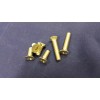 Triumph TR250-TR6 Stainless Steel Screw Sets Bundle