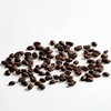 TOKYO COFFEE Organic Peruvian South American Coffee Beans, Medium Deep