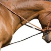 NEFTF Horse Reins Elastic Neck Stretcher Adjustable Training Rope 9.8ft