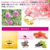【公式ストア】ビューティーローズクリスタル30粒 (モンドセレクション5年金賞受賞) ローズサプリ 薔薇サプリ ブルガリア産ダマスクローズオイル100％使用 香料不使用