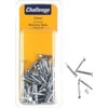 Chall Zinc Plated Masonry Nails 20mm Clam Pk 60pk -