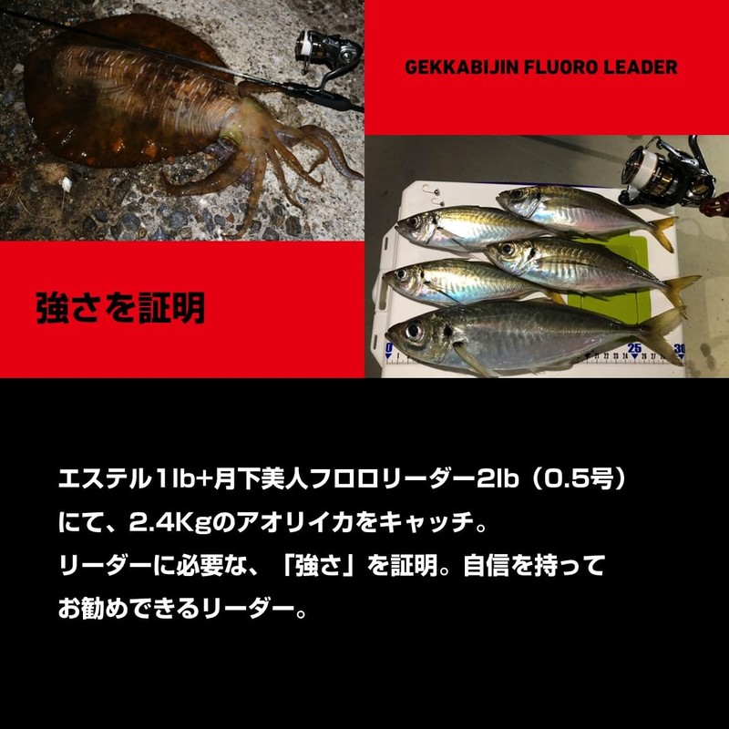 Daiwa Fluorocarbon Line Gekkabijin Fluoro Leader 5lb. 30m (98ft) Natural