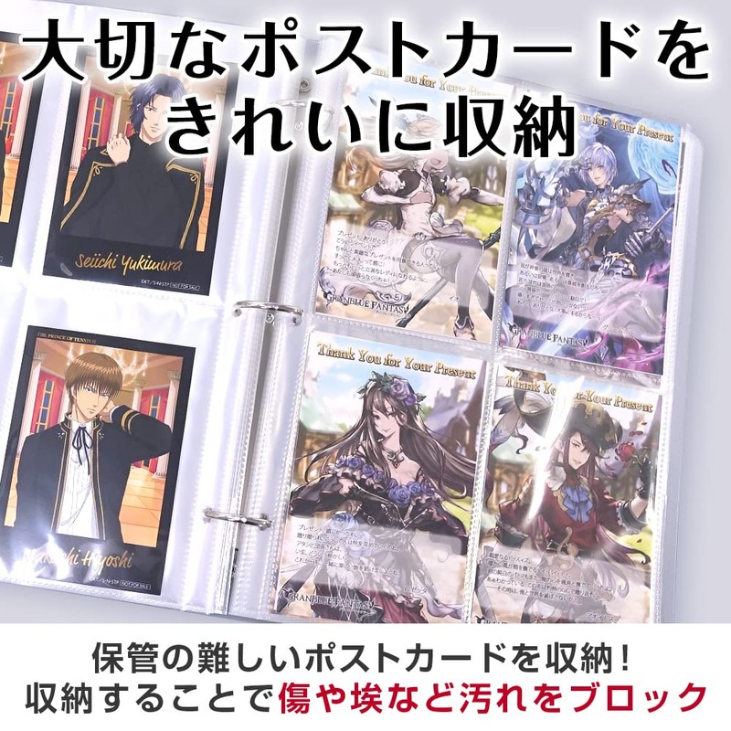 Goods marche Postcard Storage File, Postcard Size, Holds 160 Sheets