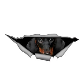 TIZIKJ Autoaufkleber Dackel Aufkleber 15cm(5.9 Inch) Dackel Reflektierende Aufkleber Dackel 3D Zerrissen Autoaufkleber Haustier Hund Personalisieren Lustig Aufkleber Dachshund Car Sticker Lustig Dekor