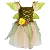 Petitebella Fairy Costume Dress 1-10y (Olive Green, 8-10 Years)
