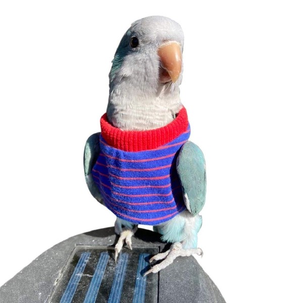 Bird Clothes， Parrot bird supplies, light flying clothes, warm and