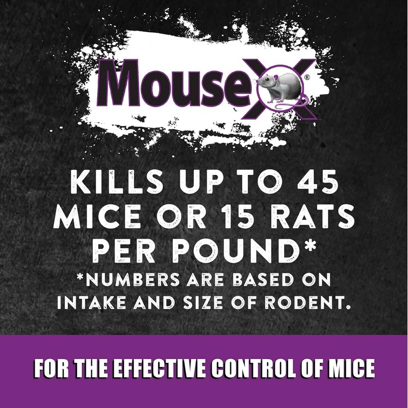 MouseX Throw Packs- for All Species of Rats Mice Safe