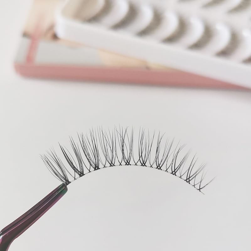 CLEAREYELASH Natural False Eyelashes 3D 3D Matsueku 10 Pairs (C01