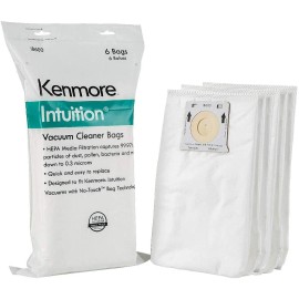 Kenmore 6 Kenmore Intuition BU4022 BU4020 Upright Vacuum HEPA Bags IB600 + Filter K3010