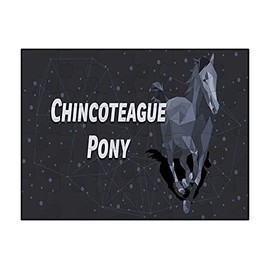 Makoroni - Chincoteague Pony Horse - Jigsaw Puzzle 30 pcs, DesL5