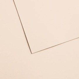 Canson Mi-Teintes Velvet Drawing Paper Sheet, Powder Beige, (260lb/430g), 1 Sheet, 19.69x25.6 inch, 1 Count