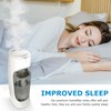 iSingo 4 Pack Humidifier Wicking HFT600 Filter T for Honeywell