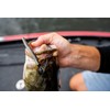 Rapala Crushcity Ned's BLT Fishing Lure Size 7.5cm/3.5g Freshwater Lure