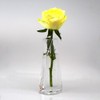 GemRich Vase Unbreakable Flower Base, Stylish, Single Vase, 5.9 inches