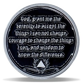 1 Year Panda Skull Sunflower Sobriety Coin – Burning Brighter NA Medallion – Spiritual Token for Recovery & Clean Time – NA AA Chips – Gift for Men & Women