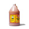 Bragg Organic Apple Cider Vinegar with the Mother, Raw and
