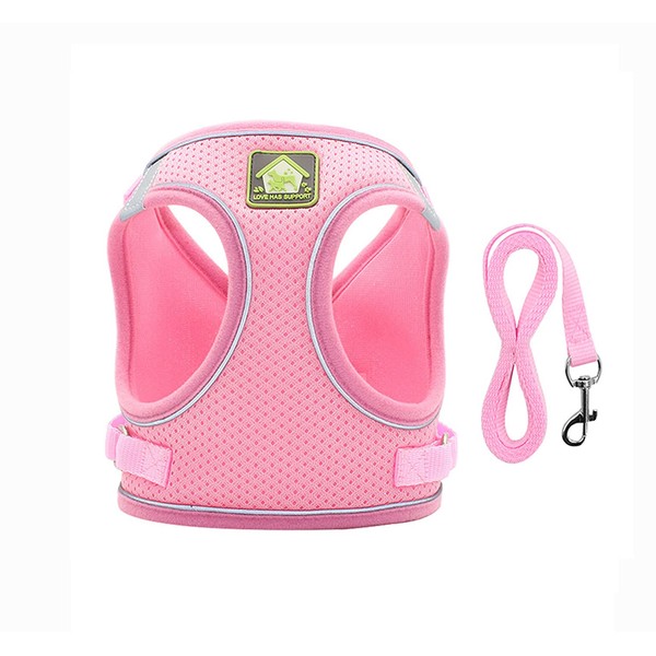 leconpet Step in Dog Harness, Vest Harness and Leash Set